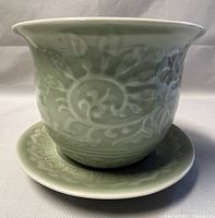 Front angle view showing the celadon flower pot with raised floral relief and matching under-plate.