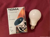 NOMA Blue Floodlight Bulb in original box next to bulb out of box