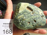 Top side of a large Dallasite boulder showing greenish and brownish angular fragments embedded in lighter matrix with several cavities and natural indentations.