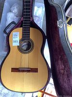 Full view of guitar front in open case, showing spruce top, decorative rosette, sound hole label and minor surface wear