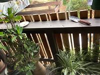 Outdoor balcony shelf with tall beige ceramic planter holding mixed succulents, flanked by small terracotta and green pots with additional plants; spider plant visible at right