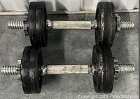 Two adjustable weight dumbbells on a concrete floor with total weight of 12 pounds each, black plates, metal rods, spin-lock collars on ends.