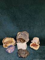 Group photo showing all six rocks including the polished agate, fossilized snail, and colorful mineral stones on a dark background.