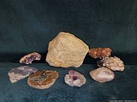 Overview of all eight rocks including the large snakeskin fossil imprinted rock and various crystalline specimens.