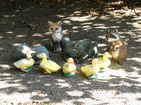 Group photo of all garden animal figurines including fox, raccoon, frog, goose, and six yellow ducklings outdoors on the ground.