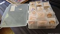 Plastic organizer case with lid open, holding many costume brooches in bags.