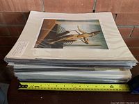 Stack of sealed matted prints in clear individual sleeves, side view