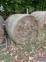 Five round hay bales secured with twine, placed outdoors on grass with trees in background.