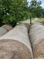 Photo showing five round hay bales stacked outdoors, surrounded by trees and grass. Bales are tightly rolled and appear to be from the 2023 season.