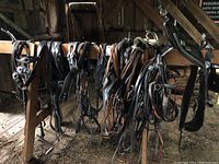 Three black leather draft horse harness collars, each with decorative silver-tone medallions, hanging on wooden rack in barn.