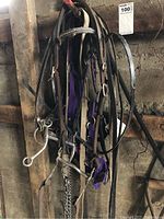 Photo of hanging leather bridles and harness straps with metal bits and buckles, including a distinctive purple nylon strap.