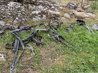 Photo showing full team pulling harnesses laid out on grass and rocks, highlighting leather straps and metal fittings.