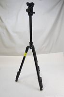 Full view of tripod standing on three legs, showing extendable sections and leg locks.