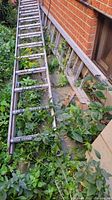 Photo showing two aluminum extension ladders leaning against a brick wall surrounded by plants and weeds. Both ladders appear weathered and marked by paint and dirt.