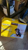 Two yellow boxes labeled as Kirkland Extra-Large Absorbent Puppy Training Pads, each containing 100 pads, positioned on the floor near a shelf.