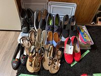 Overall view of 11 pairs of women's shoes and sandals arranged with plastic storage boxes and new insoles beside them