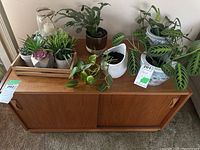 Front view of teak cabinet with sliding doors and carved handles, decorative plants on top