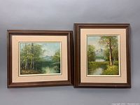Both framed oil paintings together showing natural landscape scenes