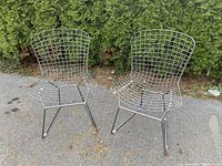 Front view of two slate-colored metal wire chairs on pavement with evergreen backdrop