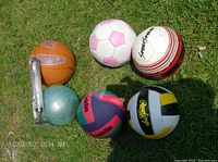Top-down view of all six sports balls and new hand pump on grass.