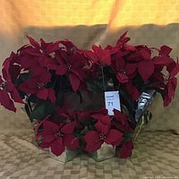 Overall view of four artificial poinsettia plants with red fabric leaves in metallic gold and silver pots, showing arrangement and condition of leaves.