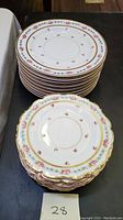 Two neat stacks of floral patterned fine china plates with gold rims, 10-inch dinner plates and 8-inch cake plates.