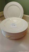 Stack of twelve white Villeroy and Boch dinner plates showing thickness and overall size.