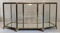 Front view of hexagonal brass and glass curio display case with mirrored base and decorative brass feet.