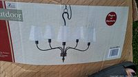 Photo of the chandelier box showing the outdoor collection branding and image of the five-light fixture with fabric shades.