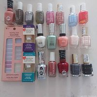 Full lot view of 20 nail polish bottles laid out with the Dashing Diva Gloss Gel Nail Strips package included.