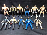 All 11 wrestling figures standing and lying down showing full lot contents