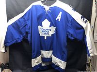 Back view of the blue and white Toronto Maple Leafs hockey jersey with 'A' on chest and number 23 on the right shoulder.