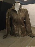 Front view of Danier women's leather jacket on mannequin showing brownish olive leather, stand-up collar and zipper closure.