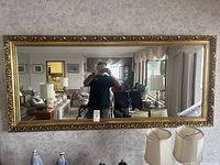 Front view showing the full large rectangular mirror with gold gilded wood carved frame hanging on a wall.