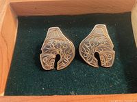 Close-up photo of front of earrings inside cedar box showing detailed Haida engraving and pierced design.