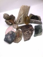 Photo of varied rock slabs, petrified wood pieces, and a polished pendant with gold bail arranged on white background