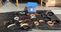 Photo showing 24 women's belts laid out on black tarp in assorted colors and sizes with varying buckle types.