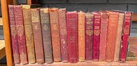 Photo of 15 antique hardcover books arranged side by side, showing titles and condition.