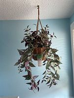 Full view of faux trailing plant hanging against blue wall, showing length and foliage.