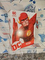 Front view of the sealed DC Collectibles The Flash statue box showing the character running pose artwork.