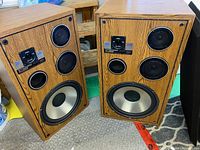 Front view of two Dynamic Audio Pro Poly Series 1901 vintage speakers showing drivers, port, and adjustment knob.