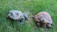 Two garden figures on grass; a frog and a turtle looking forward, showing details and colors