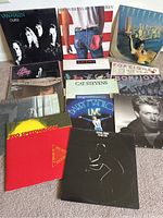 Overview of 14 vintage vinyl LP albums arranged on floor, showing album covers and titles by popular artists including Van Halen and Bruce Springsteen.
