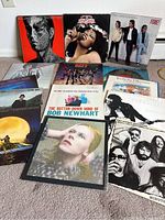 Full view of 14 vinyl LP record albums laid out on carpet, showing a variety of album cover art and titles.