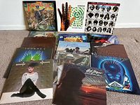Group photo of all 14 vintage LP records on carpet showing various artists and album covers.