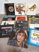 Group photo of all 15 vinyl record albums showing front album covers arranged on floor