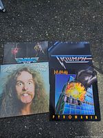 4 vinyl records laid out on ground showing the album covers of Van Halen, Ted Nugent, Def Leppard and Triumph.