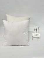 Two pillow inserts, one white polyester 16x16 and one beige feather 20x20, displayed against white background with lot number stand.