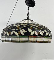 Side/front view of entire hanging fixture showing shade, canopy and chain
