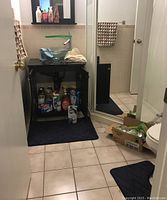 Photo of bathroom showing sink, shelf beneath with cleaning products, bath mats, hand towel, trash bin, and partially visible cardboard box with additional items.